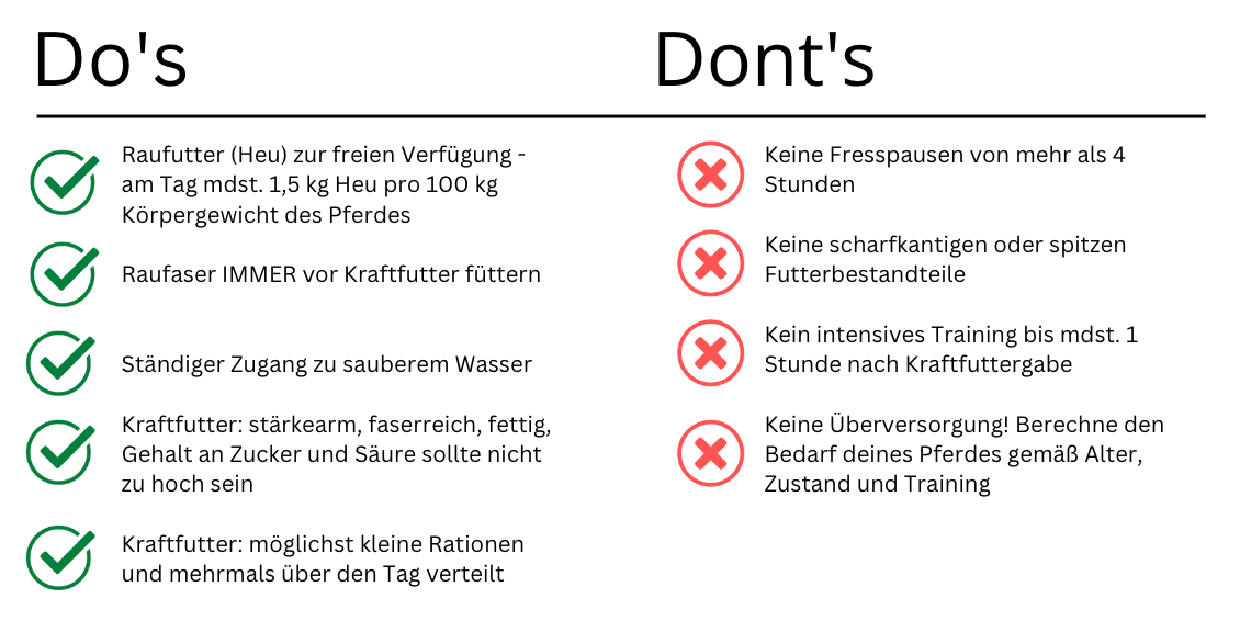 Fütterung vom Pferd mit Magengeschwür